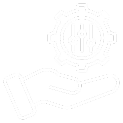 Develop Custom Token