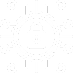 Enterprise-Grade Security